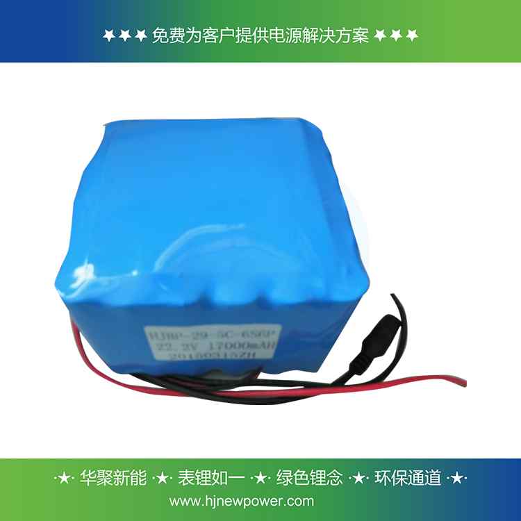 定制進(jìn)口電芯鋰電池組